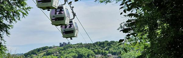 20210608 121002 1207372829