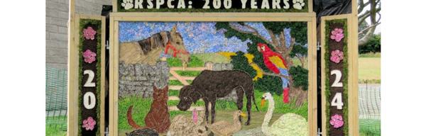 Barlow Well Dressing 2025 new