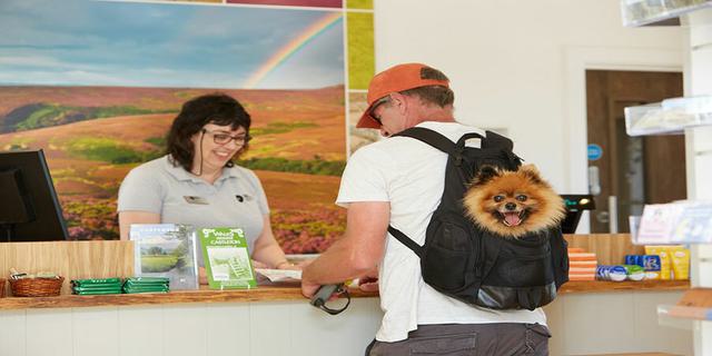 Castleton VC5 739812109