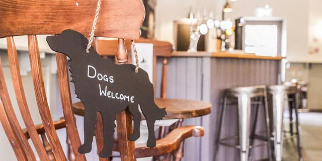 Foresters Bar at Darwin5 768729963