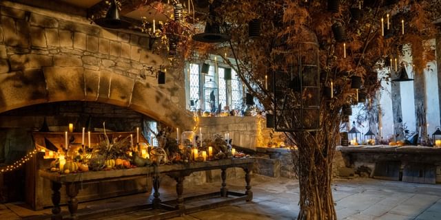 Haddon Hall Magic ex 2 jpg