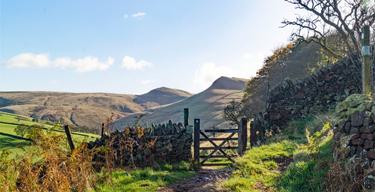 Kinder Low