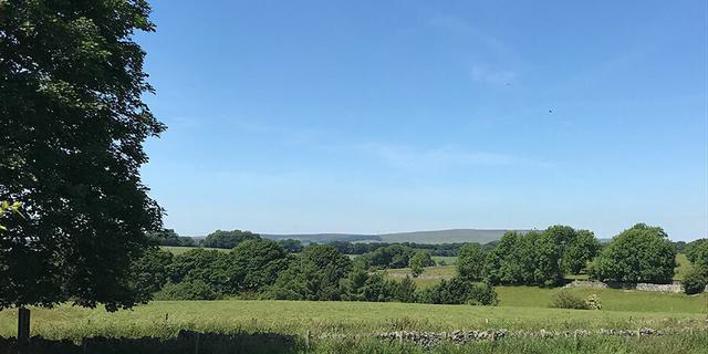 Local area 7 1640257351