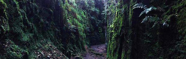 Luds church 459882107