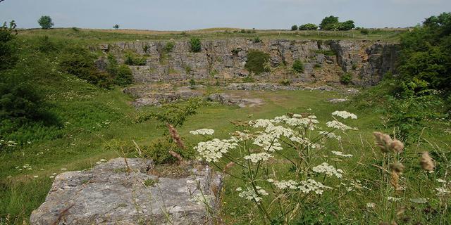 Middleton Top Cycle Hire Redhill 57850393