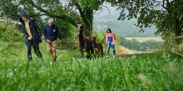 Naze view 5new 1011604906