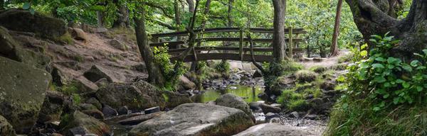 Padley Gorge