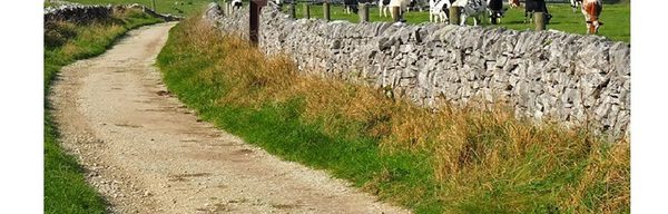 Peak E Pedal Experiences Easy Tour