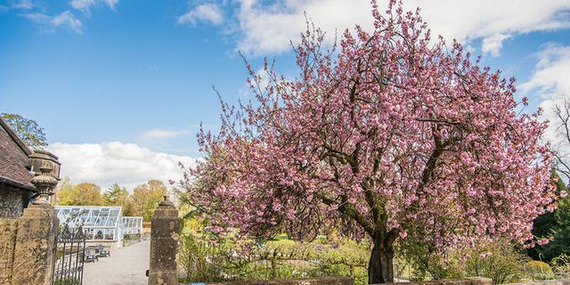 Thornbridge Hall credit Frances Milburn Photography 12 1366645900