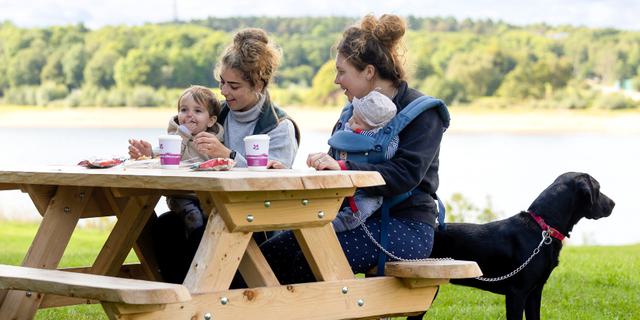 Visitors enjoying a picnic at Foremark Derbyshire
